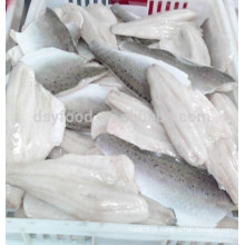 Peixe congelado peixe peixe filé em IQF hotsale